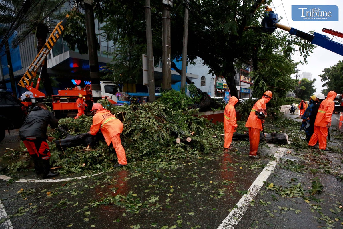 CHAINSAW OPERATION